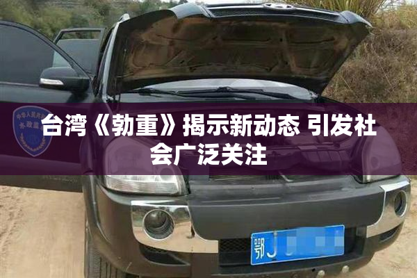 台湾《勃重》揭示新动态 引发社会广泛关注
