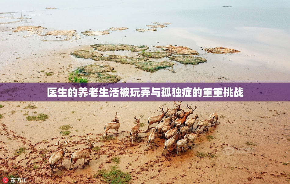 医生的养老生活被玩弄与孤独症的重重挑战