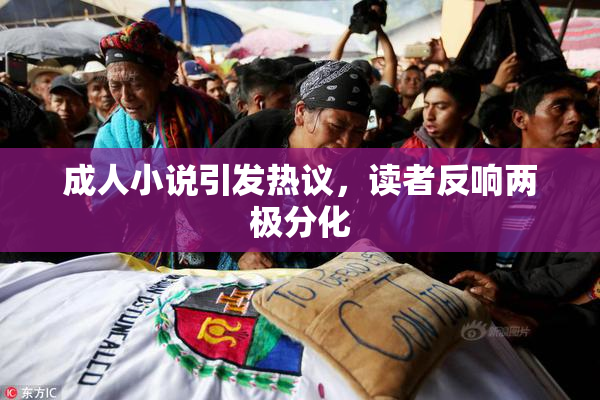 成人小说引发热议，读者反响两极分化
