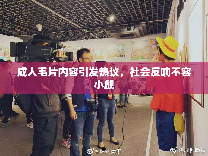 成人毛片内容引发热议，社会反响不容小觑