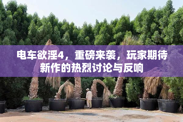 电车欲淫4，重磅来袭，玩家期待新作的热烈讨论与反响
