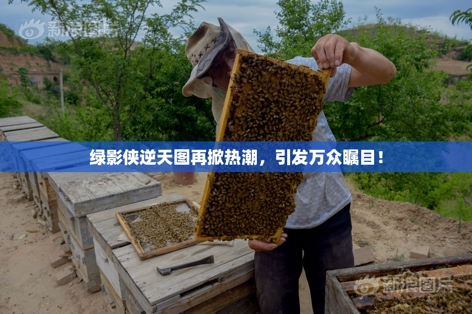 绿影侠逆天图再掀热潮，引发万众瞩目！