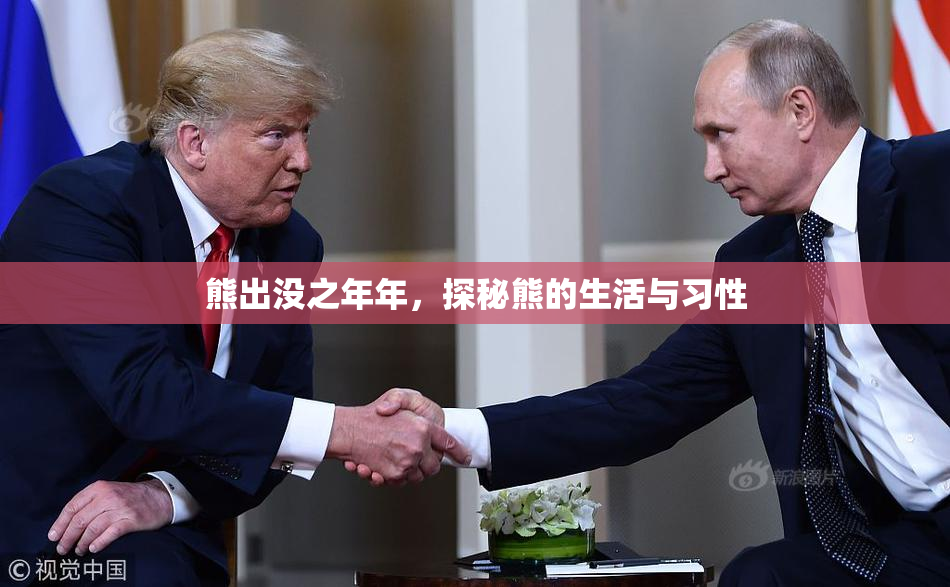 熊出没之年年，探秘熊的生活与习性