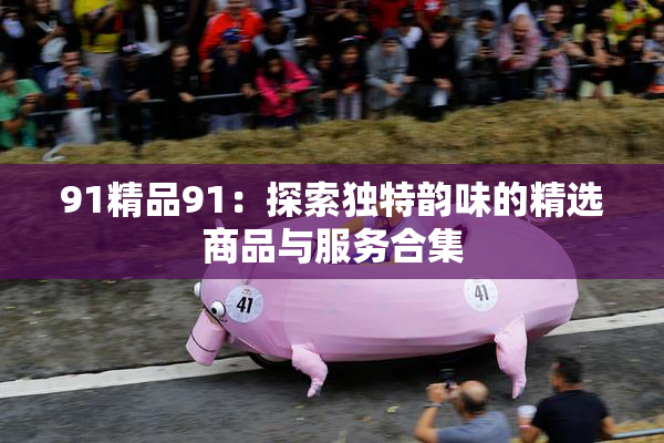 91精品91：探索独特韵味的精选商品与服务合集