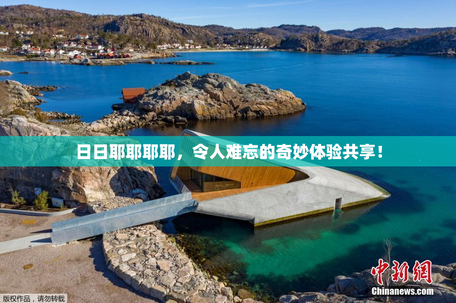日日耶耶耶耶，令人难忘的奇妙体验共享！