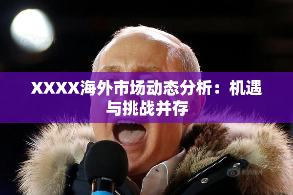 XXXX海外市场动态分析：机遇与挑战并存