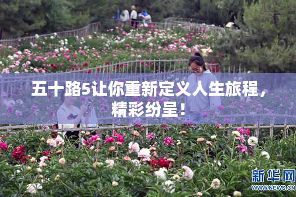 五十路5让你重新定义人生旅程，精彩纷呈！