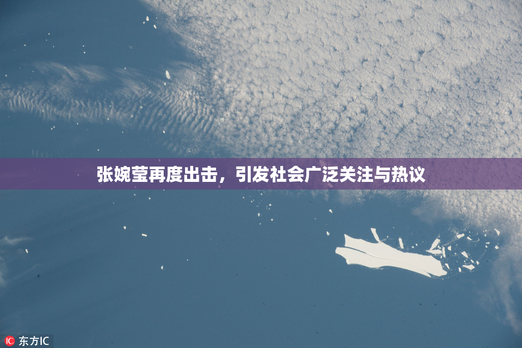 张婉莹再度出击，引发社会广泛关注与热议
