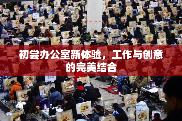 初尝办公室新体验，工作与创意的完美结合