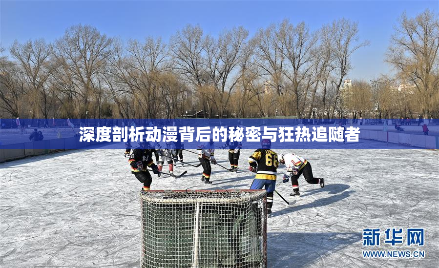 深度剖析动漫背后的秘密与狂热追随者
