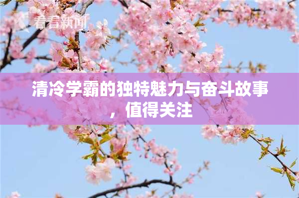 清冷学霸的独特魅力与奋斗故事，值得关注