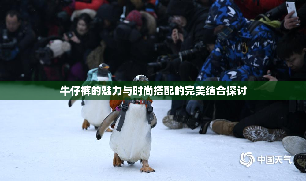 牛仔裤的魅力与时尚搭配的完美结合探讨