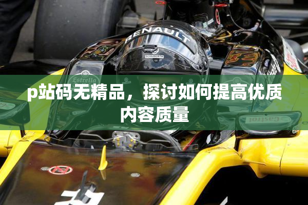 p站码无精品，探讨如何提高优质内容质量