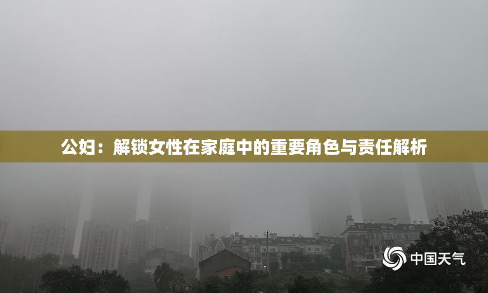 公妇：解锁女性在家庭中的重要角色与责任解析