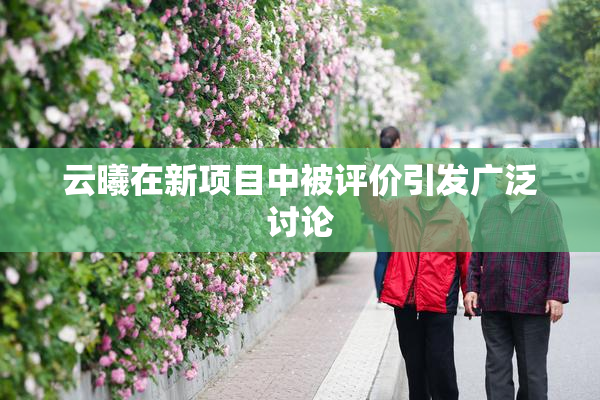 云曦在新项目中被评价引发广泛讨论