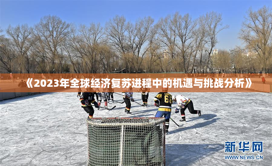 《2023年全球经济复苏进程中的机遇与挑战分析》