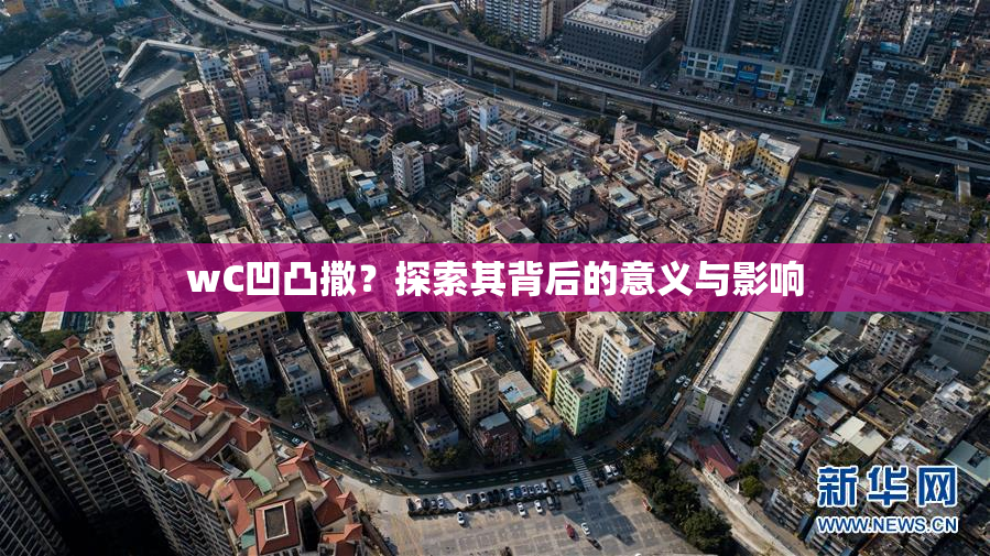 wC凹凸撒？探索其背后的意义与影响