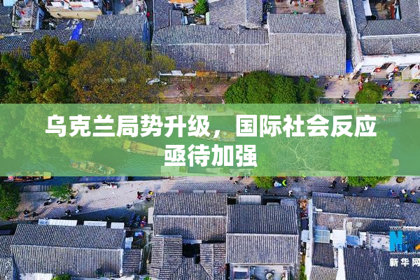 乌克兰局势升级，国际社会反应亟待加强