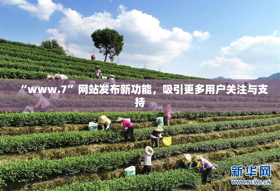 “www.7”网站发布新功能，吸引更多用户关注与支持
