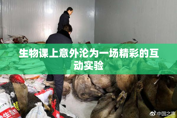 生物课上意外沦为一场精彩的互动实验