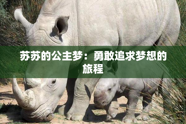 苏苏的公主梦：勇敢追求梦想的旅程