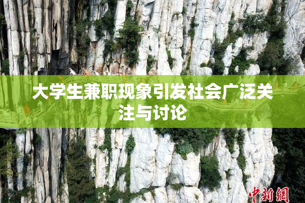 大学生兼职现象引发社会广泛关注与讨论
