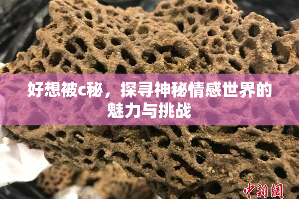 好想被c秘，探寻神秘情感世界的魅力与挑战