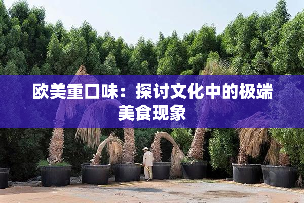 欧美重口味：探讨文化中的极端美食现象