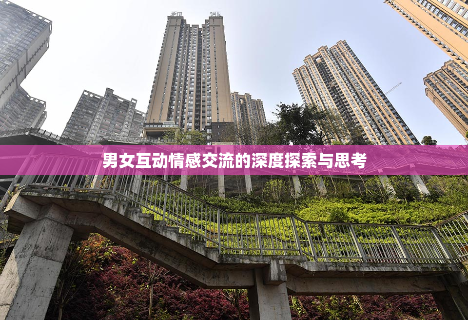 男女互动情感交流的深度探索与思考