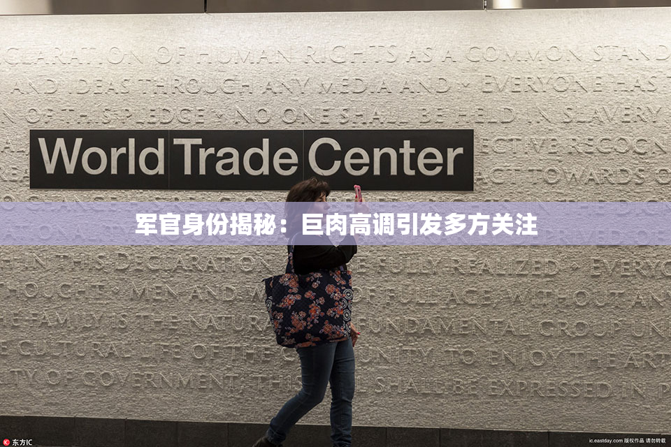 军官身份揭秘：巨肉高调引发多方关注