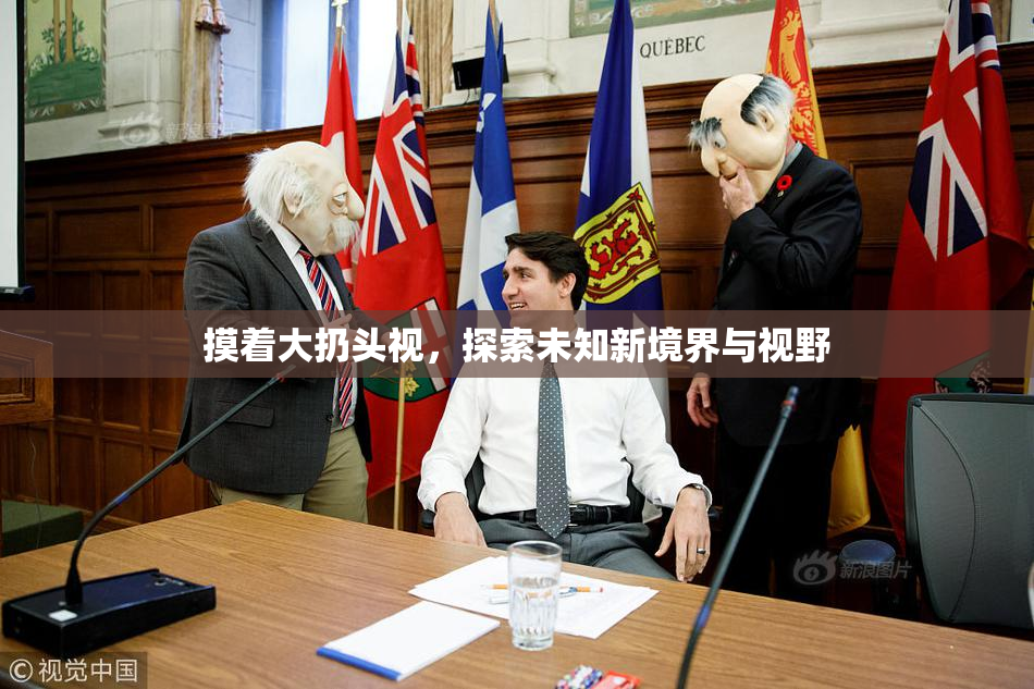 摸着大扔头视，探索未知新境界与视野