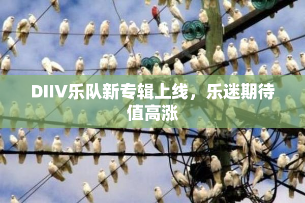 DIIV乐队新专辑上线，乐迷期待值高涨