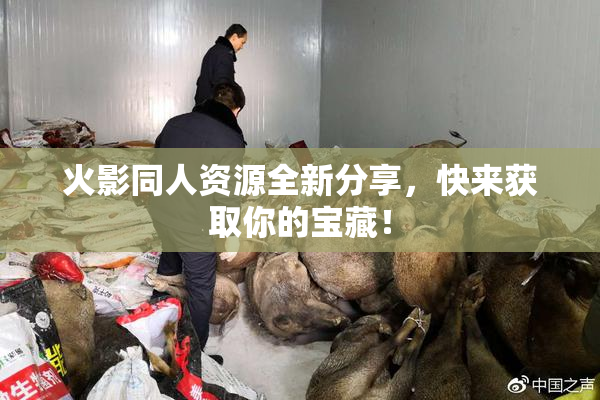 火影同人资源全新分享，快来获取你的宝藏！