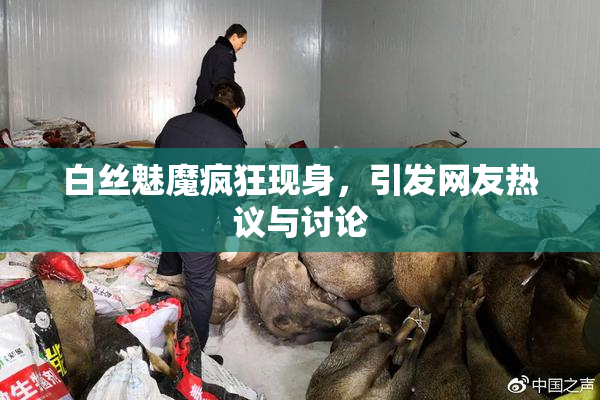 白丝魅魔疯狂现身，引发网友热议与讨论