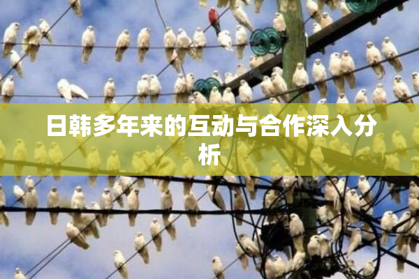 日韩多年来的互动与合作深入分析