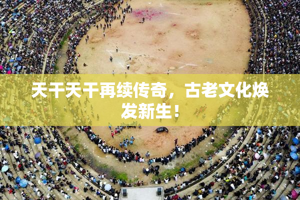 天干天干再续传奇，古老文化焕发新生！