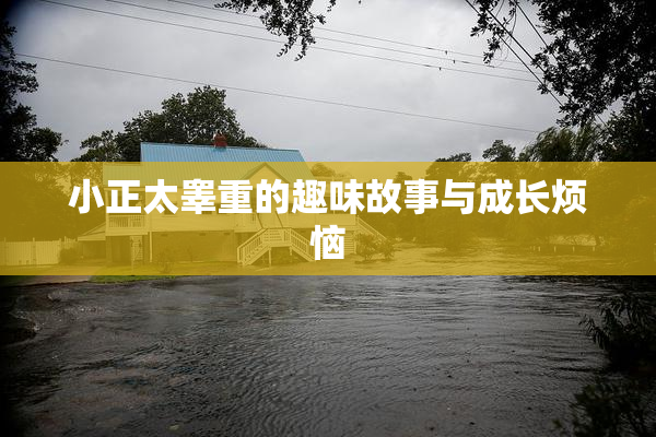 小正太睾重的趣味故事与成长烦恼