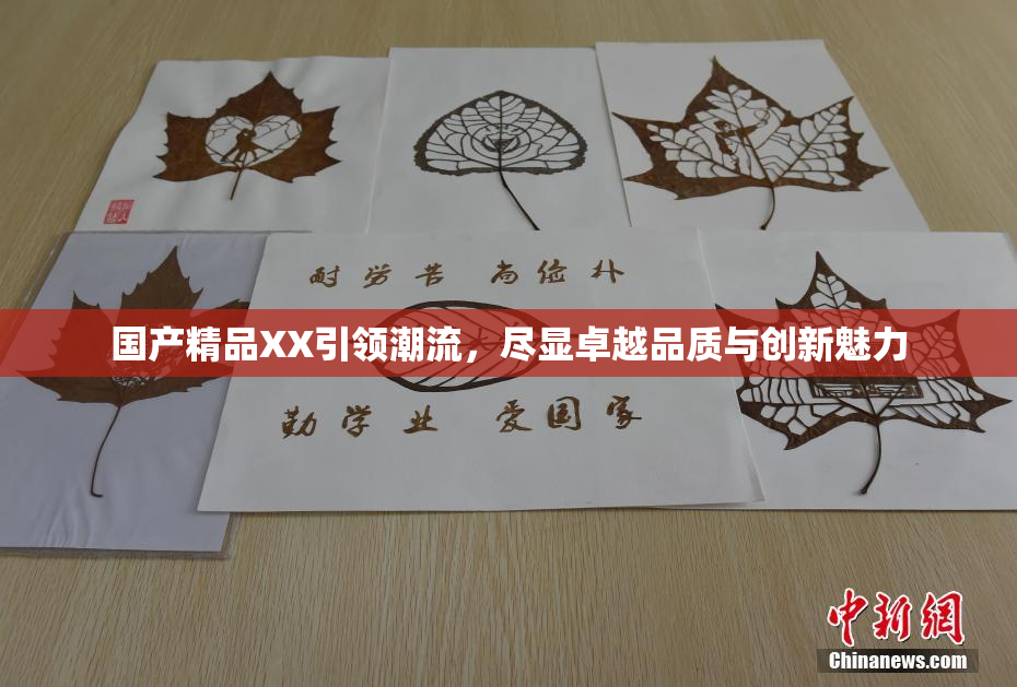 国产精品XX引领潮流，尽显卓越品质与创新魅力