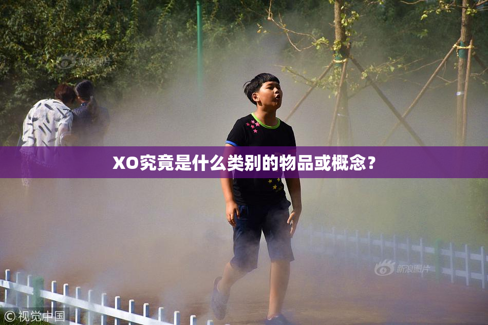 XO究竟是什么类别的物品或概念？