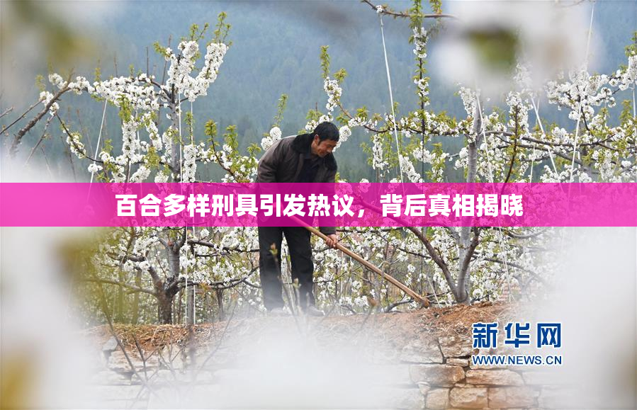 百合多样刑具引发热议，背后真相揭晓