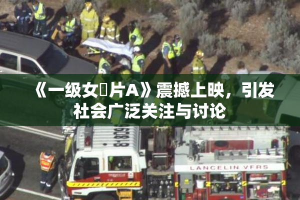 《一级女婬片A》震撼上映，引发社会广泛关注与讨论