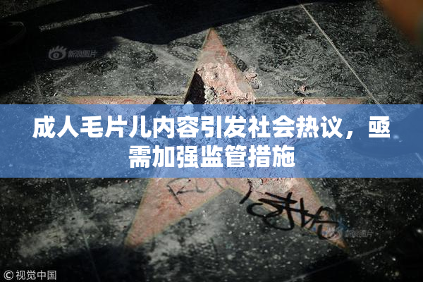 成人毛片儿内容引发社会热议，亟需加强监管措施