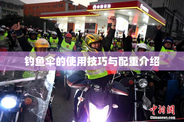 钓鱼伞的使用技巧与配重介绍