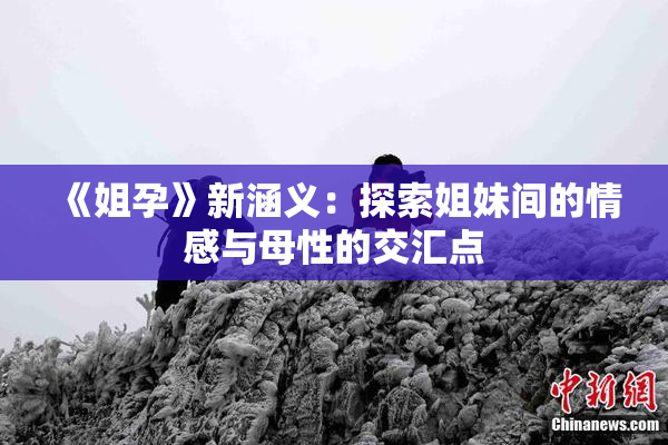 《姐孕》新涵义：探索姐妹间的情感与母性的交汇点