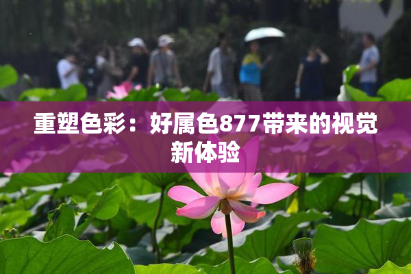 重塑色彩：好属色877带来的视觉新体验