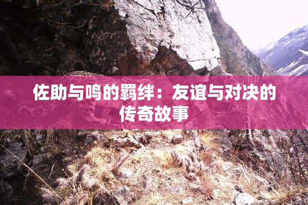 佐助与鸣的羁绊：友谊与对决的传奇故事