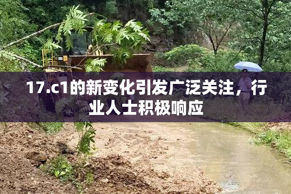 17.c1的新变化引发广泛关注，行业人士积极响应