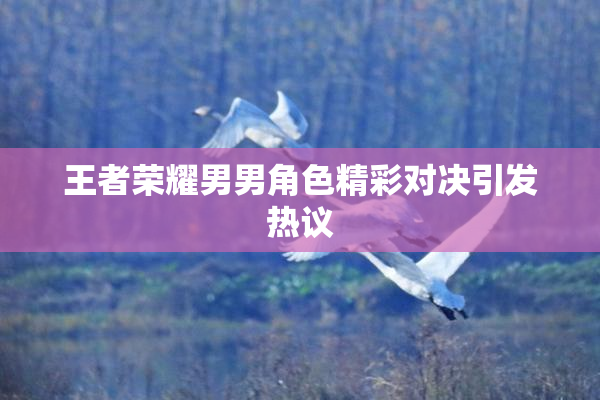 王者荣耀男男角色精彩对决引发热议