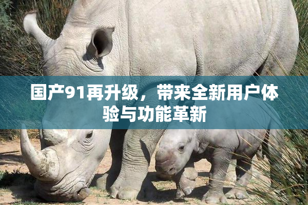国产91再升级，带来全新用户体验与功能革新