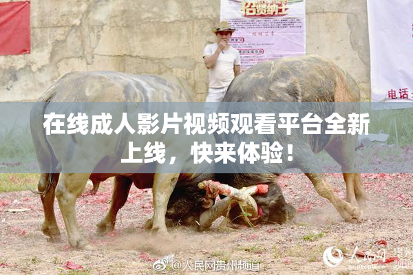 在线成人影片视频观看平台全新上线，快来体验！